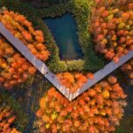 Turenscape, muralla china, Fish Tail Park, bosque flotante | fish tail park2 copia