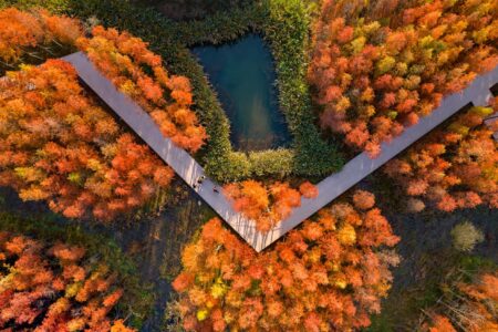Turenscape, muralla china, Fish Tail Park, bosque flotante | fish tail park2 copia