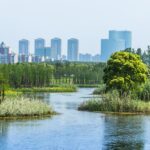 Turescape, muralla china, Fish Tail Park, bosque flotante | fish tail park4 copia