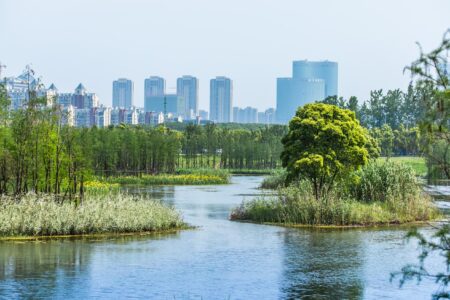 Turescape, muralla china, Fish Tail Park, bosque flotante | fish tail park4 copia