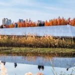 Turescape, Fish Tail Park, bosque flotante | fish tail park6 copia