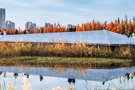 Turescape, Fish Tail Park, bosque flotante | fish tail park6 copia