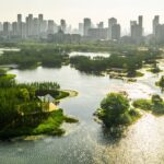 Turescape, Fish Tail Park, bosque flotante | fish tail park7 copia