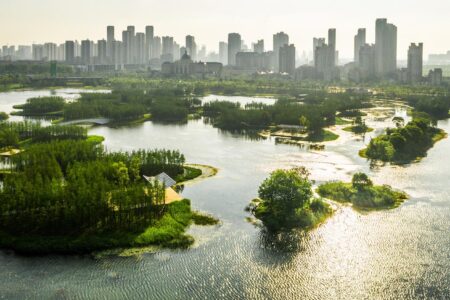 Turescape, Fish Tail Park, bosque flotante | fish tail park7 copia