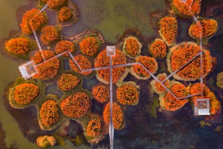 Turescape, Fish Tail Park, bosque flotante | fish tail park9 copia