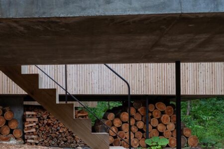 Florian Busch architects. House in the forest | florian busch architects roomdiseno1