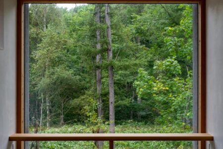 Florian Busch architects. House in the forest | florian busch architects roomdiseno12