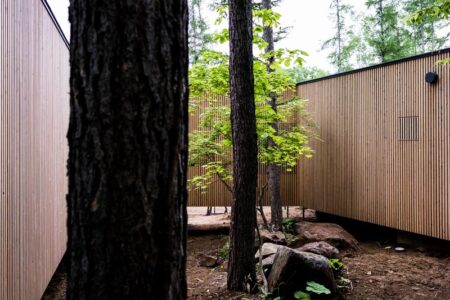 Florian Busch architects. House in the forest | florian busch architects roomdiseno20