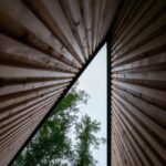 Florian Busch architects. House in the forest | florian busch architects roomdiseno21