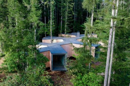 Florian Busch architects. House in the forest | florian busch architects roomdiseno23