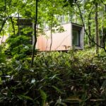 Florian Busch architects. House in the forest | florian busch architects roomdiseno3