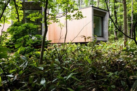 Florian Busch architects. House in the forest | florian busch architects roomdiseno3