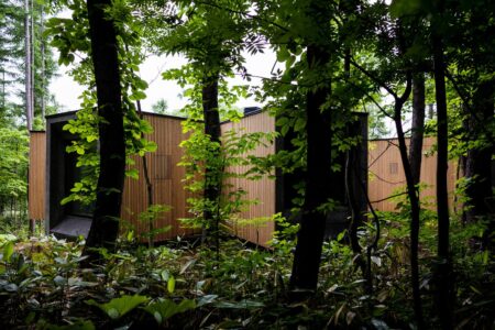 Florian Busch architects. House in the forest | florian busch architects roomdiseno4