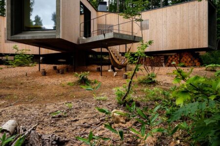 Florian Busch architects. House in the forest | florian busch architects roomdiseno8