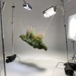 Flowgardenz | flowgardenz roomdiseno5