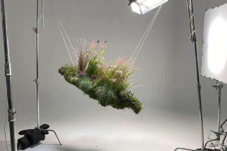 Flowgardenz | flowgardenz roomdiseno5