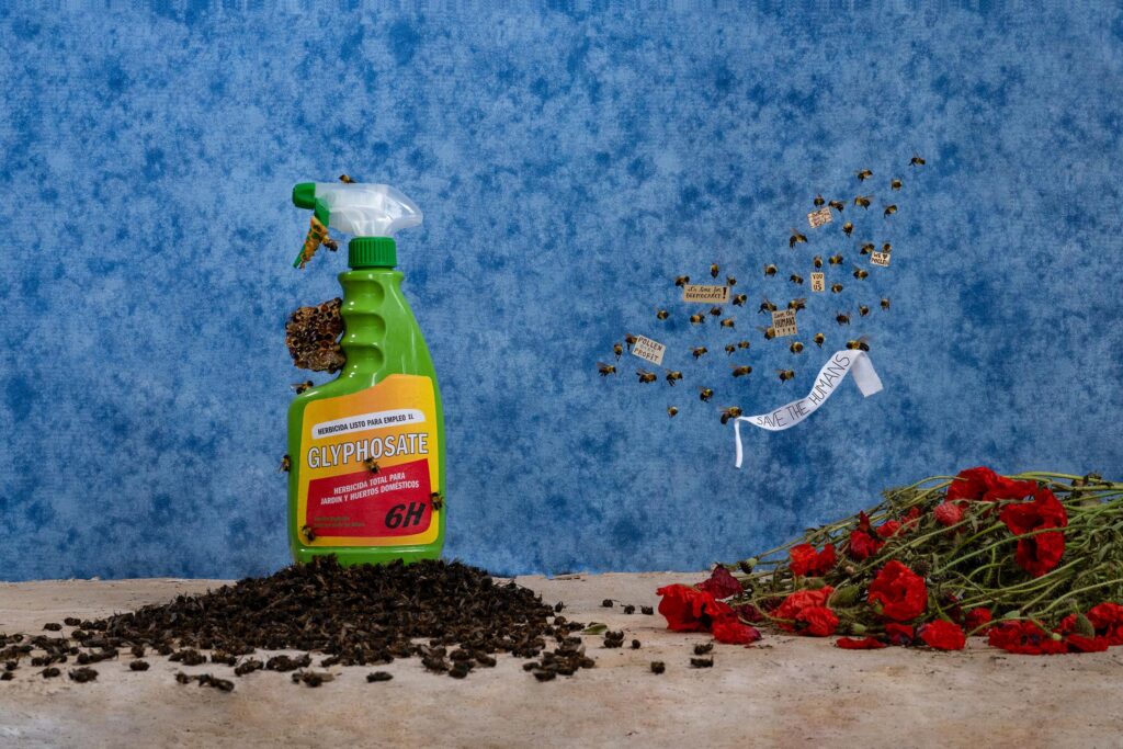 Food Design Nation. Honey We Need To Talk | food_design_nation honey roomdiseno1