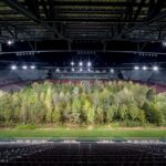 For Forest. Klaus Littmann | for_firest klaus_littman roomdiseno14