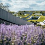 Museo Etnográfico de Budapest, plaza pública, Napur Architects | foto_inczelaszlo_nm18