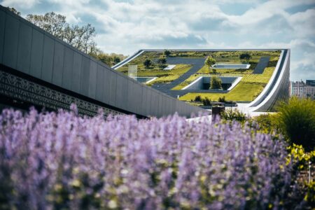 Museo Etnográfico de Budapest, plaza pública, Napur Architects | foto_inczelaszlo_nm18