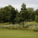 Foyer Laekenois. Gilles Clément. Paisajista francés. El jardín en movimiento | jardins de coloco au le foyer laekenois plateau du heysel