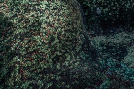Front Design. Moroso. Mobiliario inspirado en la naturaleza | front design roomdiseno1
