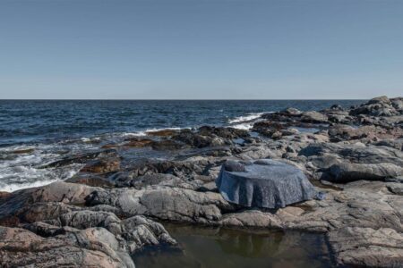 Front Design. Moroso. Mobiliario inspirado en la naturaleza | front design roomdiseno10