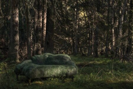 Front Design. Moroso. Mobiliario inspirado en la naturaleza | front design roomdiseno12