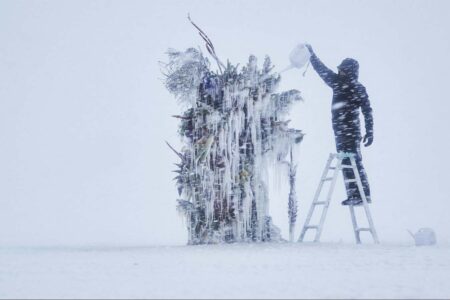Frozen Flowers. El arte floral de Azuma Makoto | frozen_flowers azuma_makoto roomdiseno2