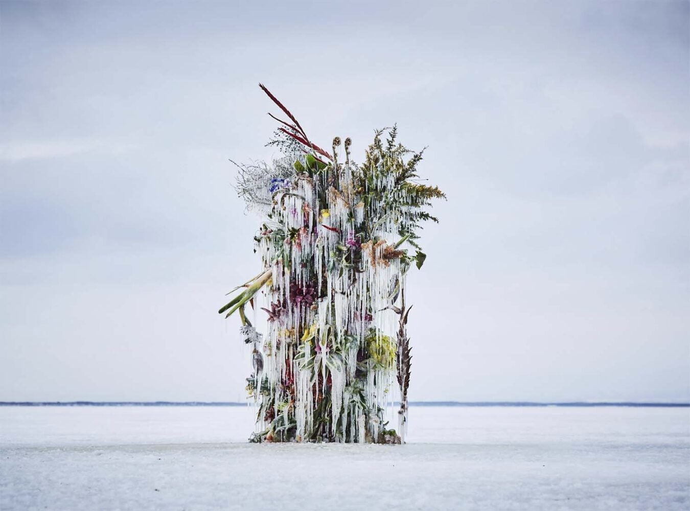 Frozen Flowers. El arte floral de Azuma Makoto | frozen_flowers azuma_makoto roomdiseno3