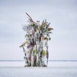 Frozen Flowers. El arte floral de Azuma Makoto | frozen_flowers azuma_makoto roomdiseno3