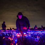Grow. Studio Roosegaarde. Paisajes artificiales. Land Art | grow13