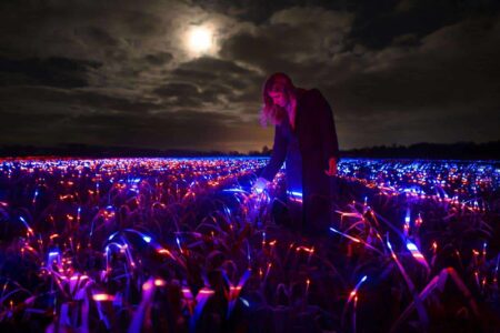 Grow. Studio Roosegaarde. Paisajes artificiales. Land Art | grow6