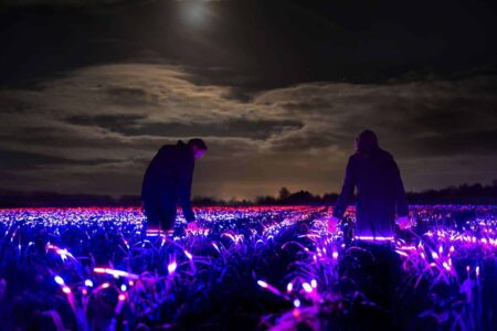 Grow. Studio Roosegaarde. Paisajes artificiales. Land Art | grow7