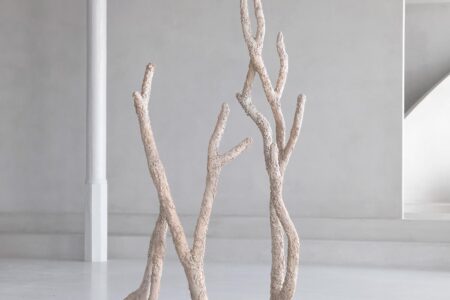Infinito Viviente. Elissa Lacoste. Side Gallery | gallery2low