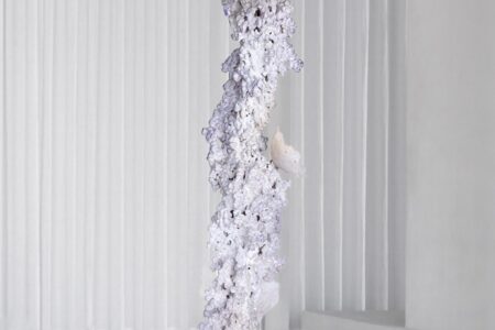 Infinito Viviente. Elissa Lacoste. Side Gallery | gallery3low