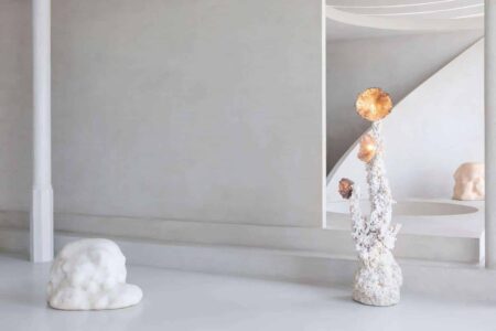 Infinito Viviente. Elissa Lacoste. Side Gallery | gallery8low