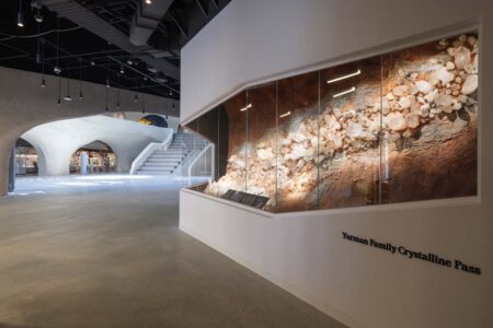 Museo Americano de Historia Natural, Jeanne Gang, Richard Gilder Center, Manhattan | 4 yurman family crystalline pass and link to the allison and ro