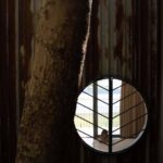 Tree House by the Lake. H2 | h2 36