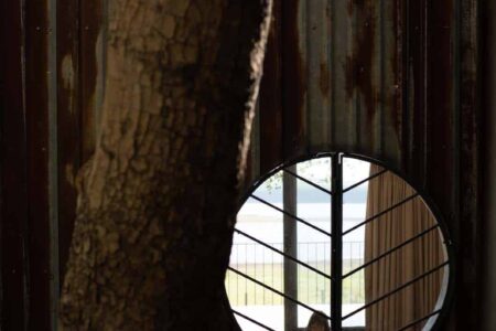 Tree House by the Lake. H2 | h2 36