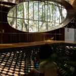 Tree House by the Lake. H2 | h2 39