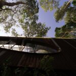 Tree House by the Lake. H2 | h2 4