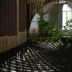 Tree House by the Lake. H2 | h2 40