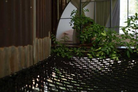 Tree House by the Lake. H2 | h2 40