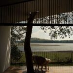 Tree House by the Lake. H2 | h2 41