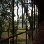 Tree House by the Lake. H2 | h2 42
