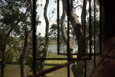 Tree House by the Lake. H2 | h2 42