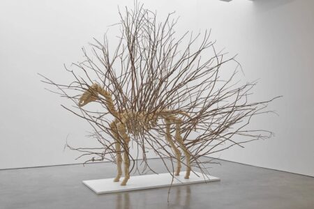 Zebra, 2022. © Hugh Hayden. Courtesy Lisson Gallery. Arte y naturaleza | hayd220006_002