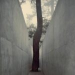 Casa cueva. Casa enterrada. HW Studio | hw studio roomdiseno12