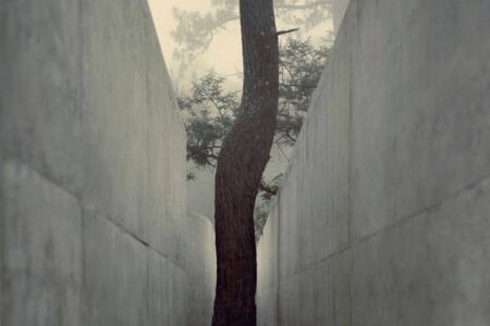 Casa cueva. Casa enterrada. HW Studio | hw studio roomdiseno12